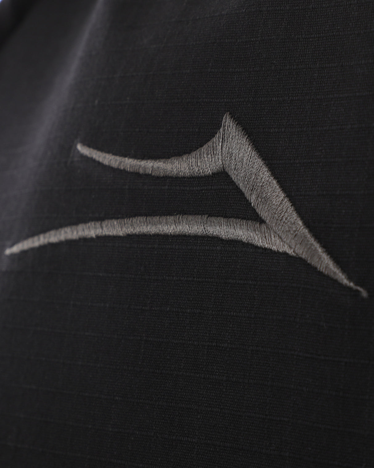 Ripstop Everyday Backpack