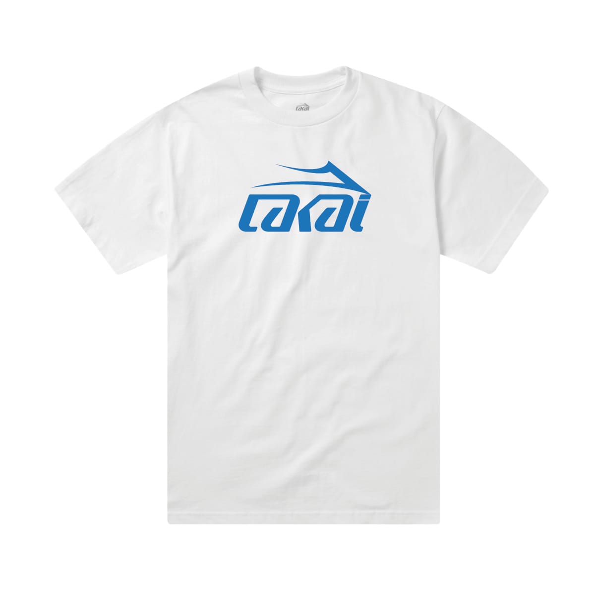 Basic TShirt Mens Clothing Shirts & Tees Lakai Lakai Limited