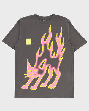LAKAI x RIPNDIP - Pink Flame SS Tee - Gray Pink